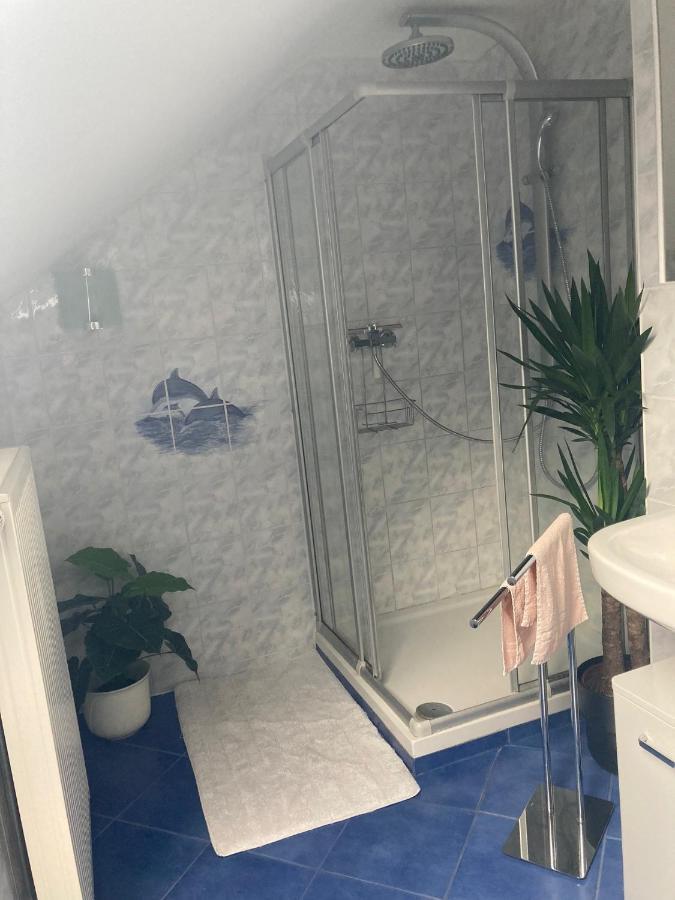 Lipp Appartement *